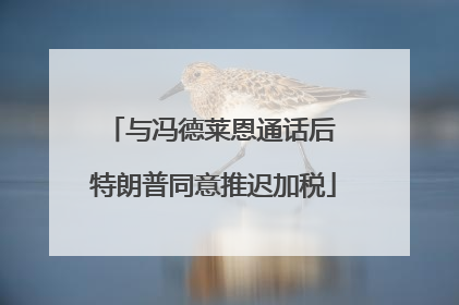 与冯德莱恩通话后 特朗普同意推迟加税