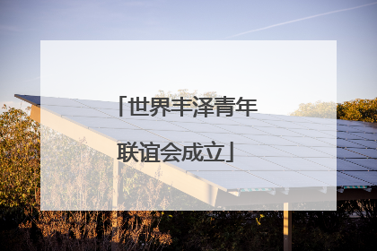 世界丰泽青年联谊会成立
