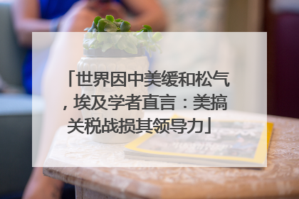 世界因中美缓和松气，埃及学者直言：美搞关税战损其领导力