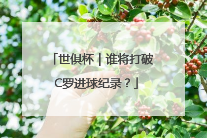 世俱杯｜谁将打破C罗进球纪录？