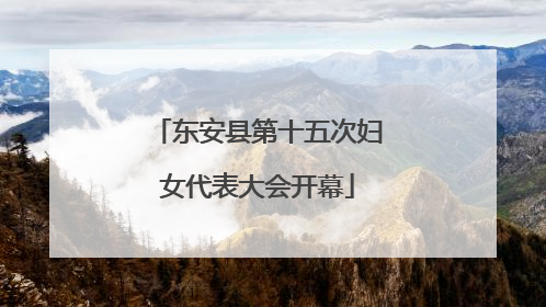 东安县第十五次妇女代表大会开幕