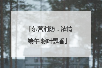 东营消防：浓情端午 粽叶飘香