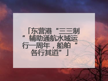 东营港“三三制”辅助通航水域运行一周年，船舶“各行其道”