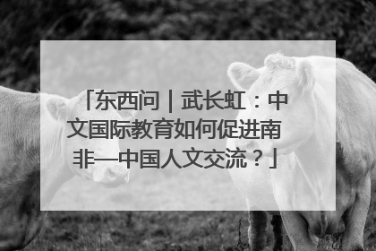 东西问｜武长虹：中文国际教育如何促进南非—中国人文交流？