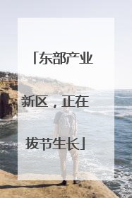 东部产业新区，正在拔节生长