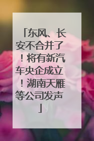 东风、长安不合并了！将有新汽车央企成立！湖南天雁等公司发声