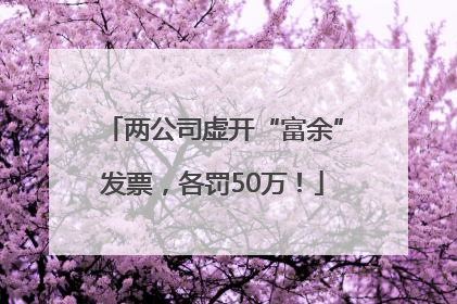 两公司虚开“富余”发票，各罚50万！