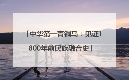 中华第一青铜马：见证1800年前民族融合史