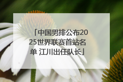中国男排公布2025世界联赛首站名单 江川出任队长