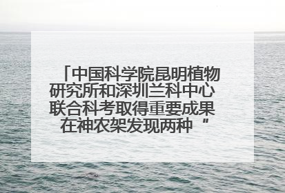中国科学院昆明植物研究所和深圳兰科中心联合科考取得重要成果 在神农架发现两种“国保”级兰花