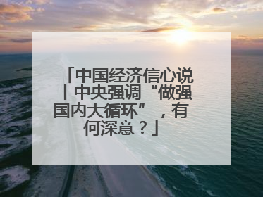中国经济信心说丨中央强调“做强国内大循环”，有何深意？