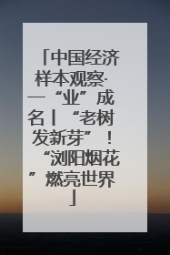 中国经济样本观察·一“业”成名丨“老树发新芽”！“浏阳烟花”燃亮世界