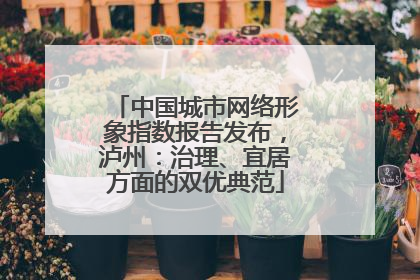 中国城市网络形象指数报告发布，泸州：治理、宜居方面的双优典范