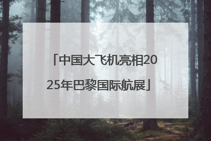 中国大飞机亮相2025年巴黎国际航展