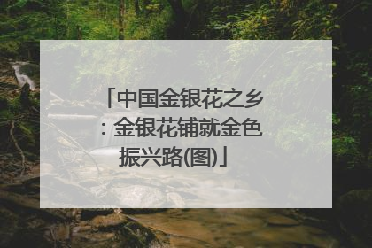 中国金银花之乡：金银花铺就金色振兴路(图)