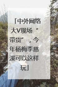 中外网络大V现场“带货”，今年杨梅季慈溪可以这样玩