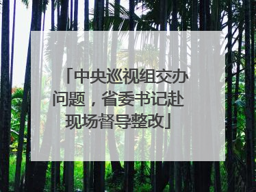中央巡视组交办问题，省委书记赴现场督导整改