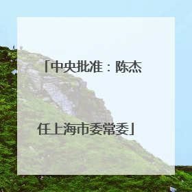中央批准：陈杰任上海市委常委