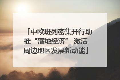 中欧班列密集开行助推“落地经济” 激活周边地区发展新动能