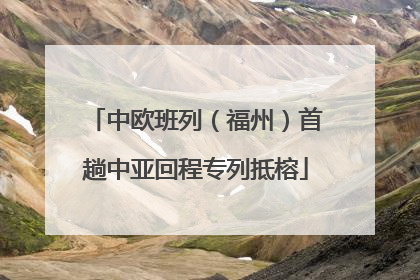 中欧班列（福州）首趟中亚回程专列抵榕
