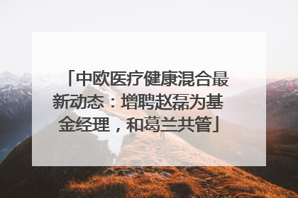 中欧医疗健康混合最新动态：增聘赵磊为基金经理，和葛兰共管
