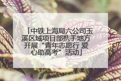中铁上海局六公司玉溪区域项目部携手地方开展“青年志愿行 爱心助高考”活动