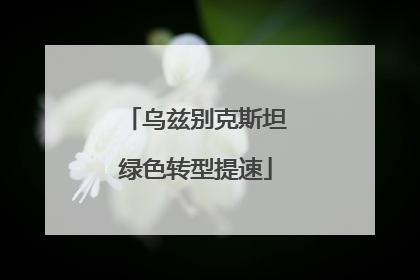 乌兹别克斯坦绿色转型提速