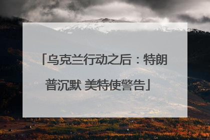 乌克兰行动之后：特朗普沉默 美特使警告
