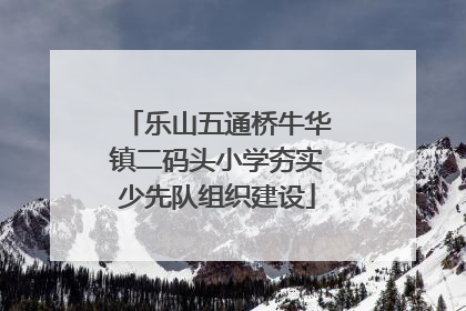 乐山五通桥牛华镇二码头小学夯实少先队组织建设