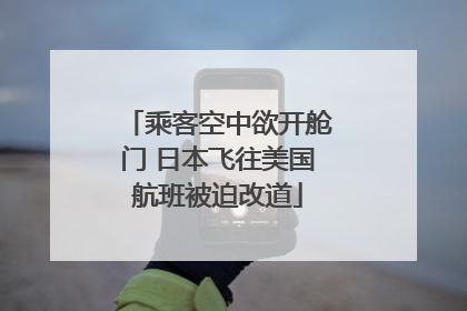 乘客空中欲开舱门 日本飞往美国航班被迫改道