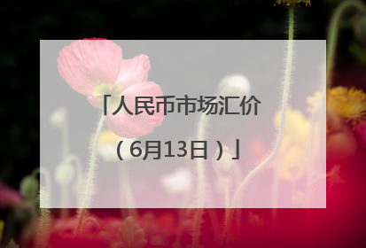 人民币市场汇价（6月13日）