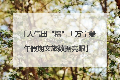 人气出“粽”！万宁端午假期文旅数据亮眼