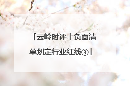 云岭时评丨负面清单划定行业红线③