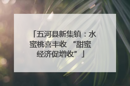 五河县新集镇：水蜜桃喜丰收 “甜蜜经济促增收”