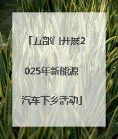 五部门开展2025年新能源汽车下乡活动