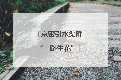 京密引水渠畔“一路生花”
