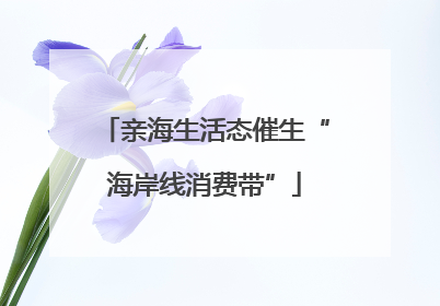 亲海生活态催生“海岸线消费带”