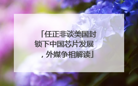任正非谈美国封锁下中国芯片发展，外媒争相解读