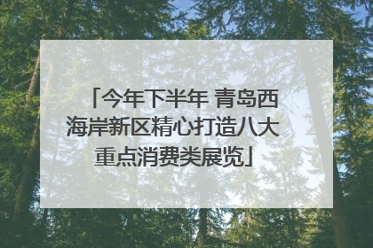 今年下半年 青岛西海岸新区精心打造八大重点消费类展览
