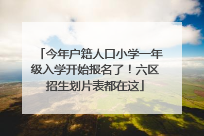 今年户籍人口小学一年级入学开始报名了！六区招生划片表都在这