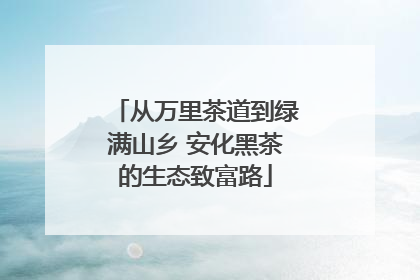 从万里茶道到绿满山乡 安化黑茶的生态致富路
