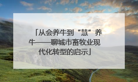 从会养牛到“慧”养牛——聊城市畜牧业现代化转型的启示