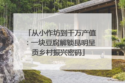 从小作坊到千万产值：一块豆腐解锁昆明呈贡乡村振兴密码
