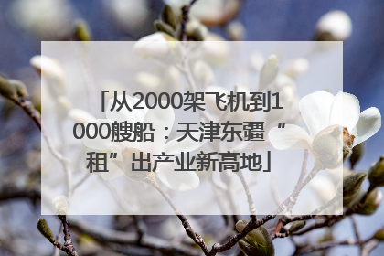 从2000架飞机到1000艘船：天津东疆“租”出产业新高地