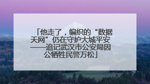 他走了，编织的“数据天网”仍在守护大城平安——追记武汉市公安局因公牺牲民警万松