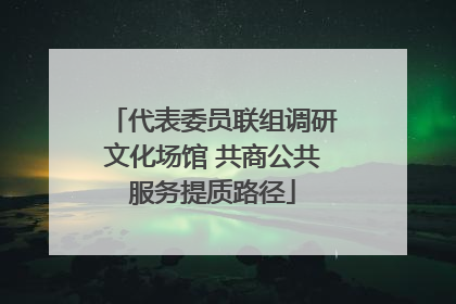 代表委员联组调研文化场馆 共商公共服务提质路径