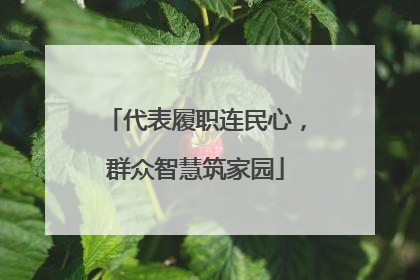 代表履职连民心，群众智慧筑家园