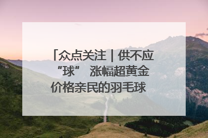 众点关注｜供不应“球” 涨幅超黄金 价格亲民的羽毛球为何身价飞涨？