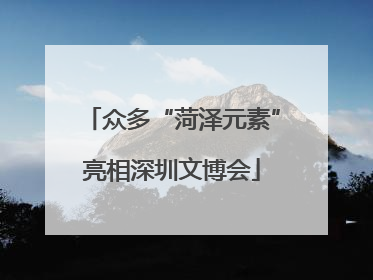 众多“菏泽元素”亮相深圳文博会