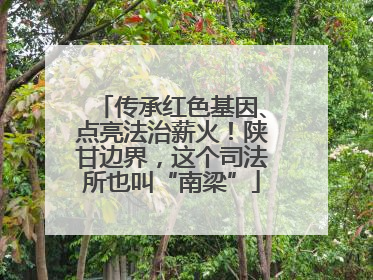 传承红色基因、点亮法治薪火！陕甘边界，这个司法所也叫“南梁”